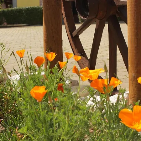 Quinta Sobral Prestige - Little Rustic Kır Evi