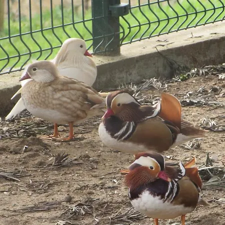 Quinta Sobral Prestige - Little Rustic Sobral de Monte Agraço