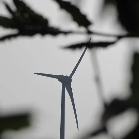 Kır Evi Quinta Sobral Prestige - Little Rustic