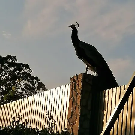 Kır Evi Quinta Sobral Prestige - Little Rustic