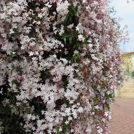 Quinta Sobral Prestige - Little Rustic Sobral de Monte Agraço