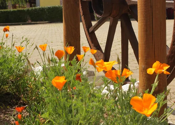 Quinta Sobral Prestige - Little Rustic Casa di campagna