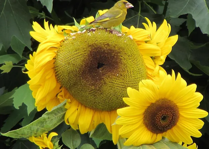 Casa di campagna Quinta Sobral Prestige - Little Rustic Sobral de Monte Agraço