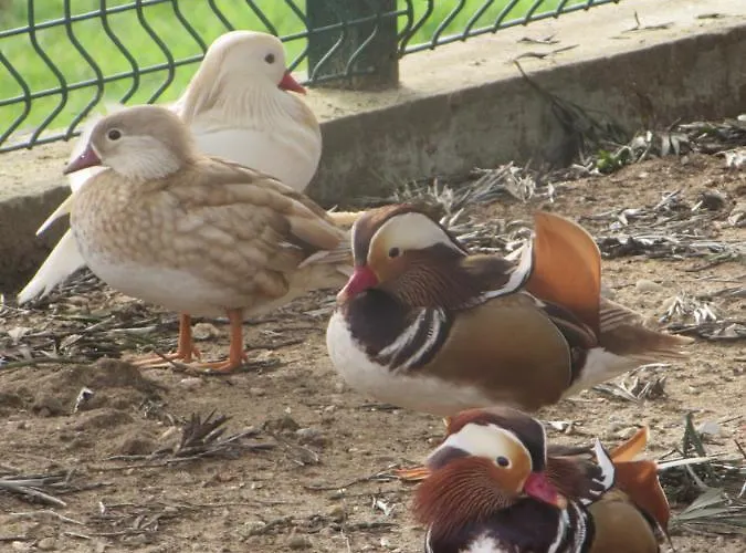 Quinta Sobral Prestige - Little Rustic Sobral de Monte Agraço