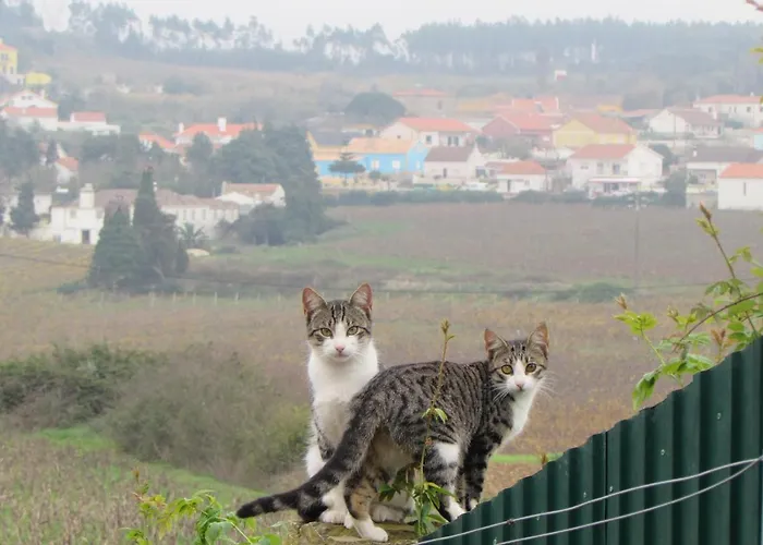 Quinta Sobral Prestige - Little Rustic Casa di campagna *