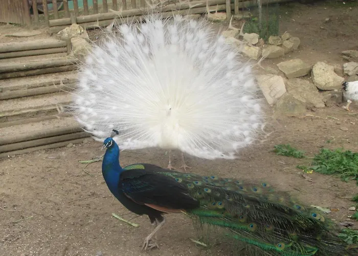 Quinta Sobral Prestige - Little Rustic Casa di campagna