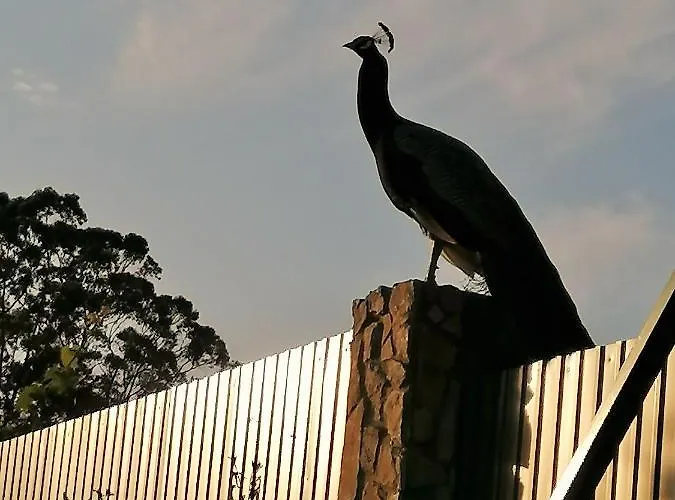 Casa di campagna Quinta Sobral Prestige - Little Rustic