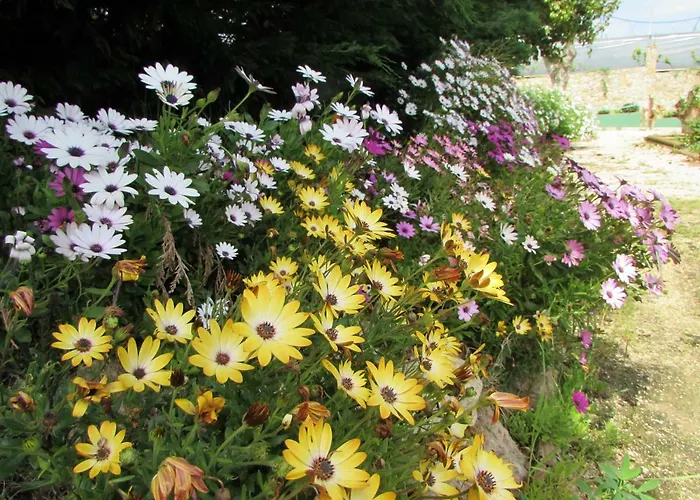 Quinta Sobral Prestige - Little Rustic Casa di campagna *