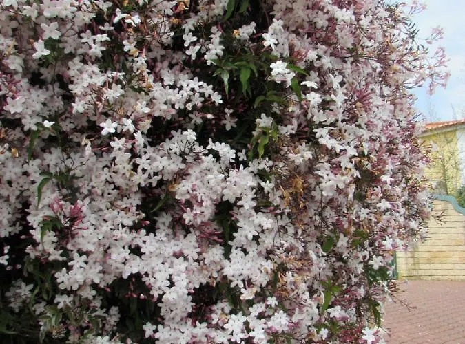 Quinta Sobral Prestige - Little Rustic Sobral de Monte Agraço