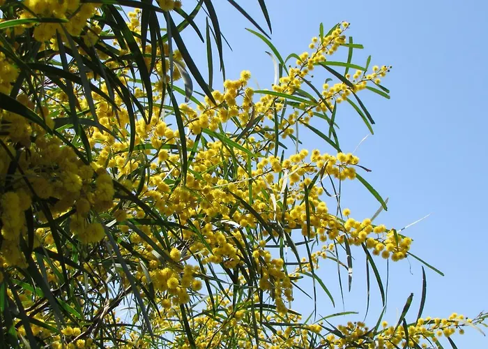 Quinta Sobral Prestige - Little Rustic Casa di campagna